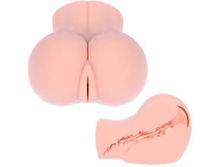 ����������� ������-���� "ELLA" ��������, ��� ��������