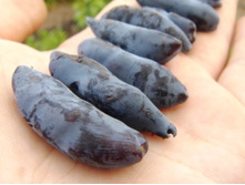 ��������� ���������� ������� �9 -165�