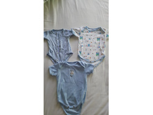 ���� �/� 62 ������