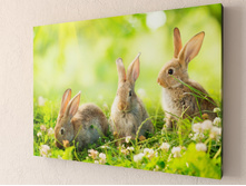 ������� �� ������.jpg