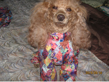 ������ 005.jpg