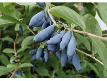 ��������� �������� ������� �9-165�