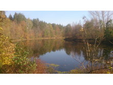 �ݣ ������.