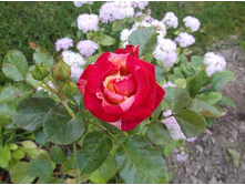 �������