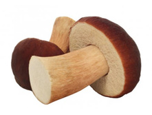 ���� ����� �������. 85 ���..jpg