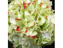 �������� ���� ���� No2