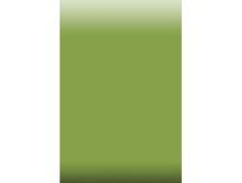 Folga matovaja dlja sozdanija jeffekta krakeljura 943 olivkovaja min.jpg