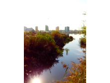 IMG 20150923 124309.jpg