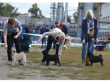 ��������� �� ���