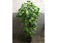 80/�2/���/159 ������ ������� - 5200