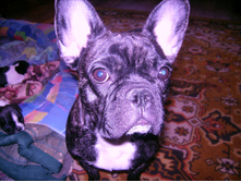 IMG 0013.JPG