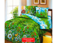 ��������� ����