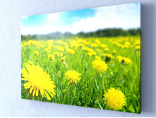 ���� �� �����������.jpg