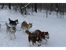 ���� - YUSTILIANNA S GOLUBOI ZVEZDI