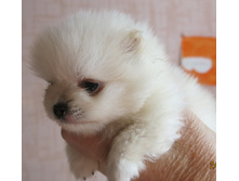 ���� 019.JPG