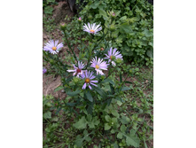 IMG 20150912 095418.jpg