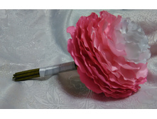 IMG 20150912 191738.JPG