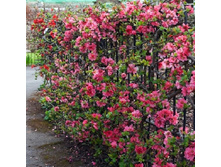 ���� ���� ����-128