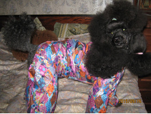 ������ 003.jpg