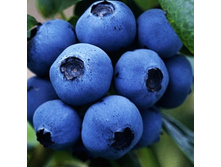 �������� �������.-164