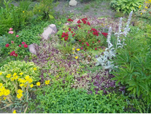 IMG 20150628 173639.jpg