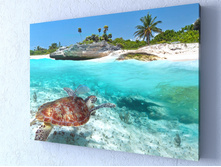 ������ ��������.jpg