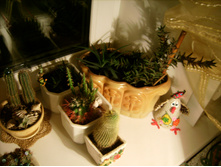 IMG 0170.JPG