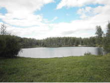 ����� ������.