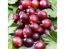 ��������� ����������.-143