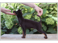 3 ������