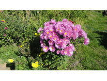 ���������� ������ ������� �����