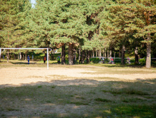 IMG 0450.jpg