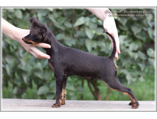 4 ������