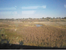 ���� �� ���� ������