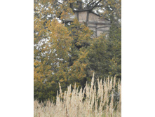 ����� �� ������