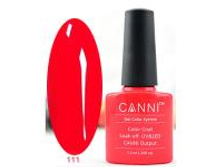 Gellak Shellac CANNI 111 min.jpg