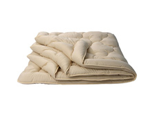 ��������� "���*�*���" ������ ���*�*���