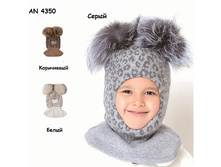 AN 4350 1700� (����������), 1500� (����)