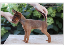 3 ������