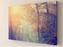 ��������� ����.jpg