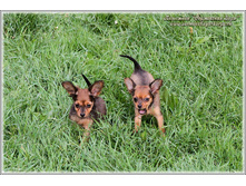 2 ������