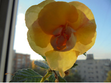 DSC01907.JPG