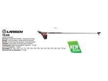 ����� ������ ����������� Larsen Team.JPG