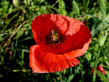 P1050365.JPG