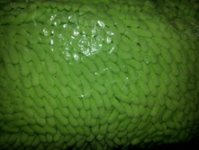 ������ �������� ZALEL 60-90�� ����� ����� (1 �������)  678���.