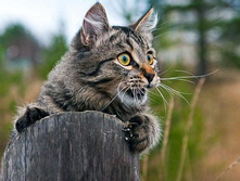 ���� ��!