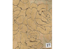 17 ���� �������.JPG