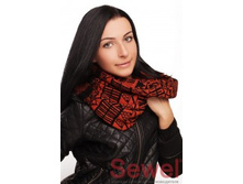 AW233012000.jpg 280 ���