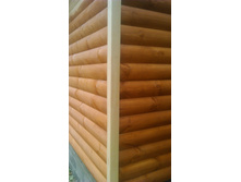 ���� ����