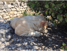 ������-���